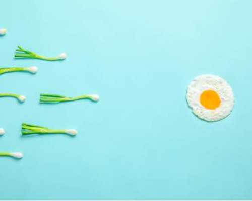 畢節(jié)市人民醫(yī)院做試管要多久?一步步帶你了解全過程 畢節(jié)市人民醫(yī)院做試管要多久?一步步帶你了解全過程